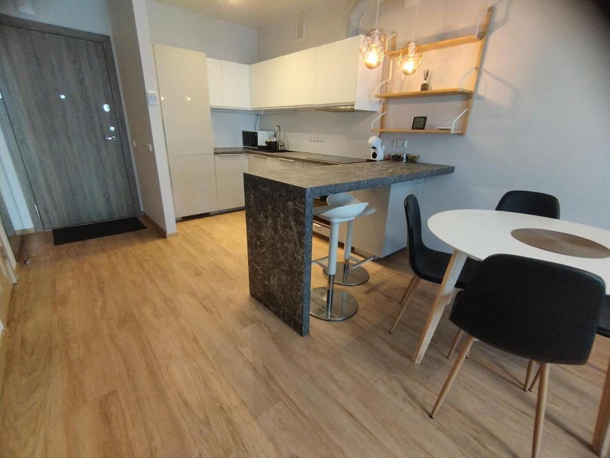 Castle Town Apartment カウナス エクステリア 写真